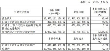 物聯(lián)網(wǎng)市場(chǎng)全景掃描 十家上市公司半年報(bào)數(shù)據(jù)深度解析與應(yīng)用服務(wù)趨勢(shì)洞察